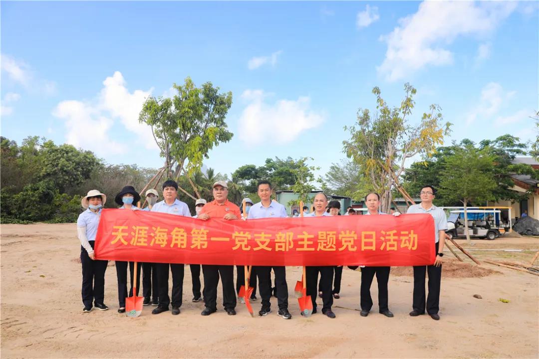 三亚旅游文化发展集团有限公司