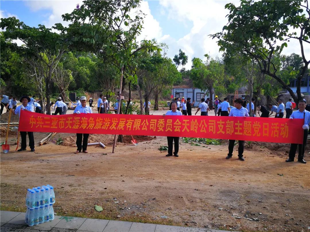 三亚旅游文化发展集团有限公司