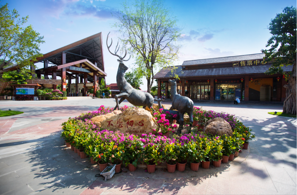 三亚旅游文化发展集团有限公司