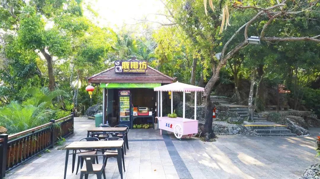 三亚旅游文化发展集团有限公司