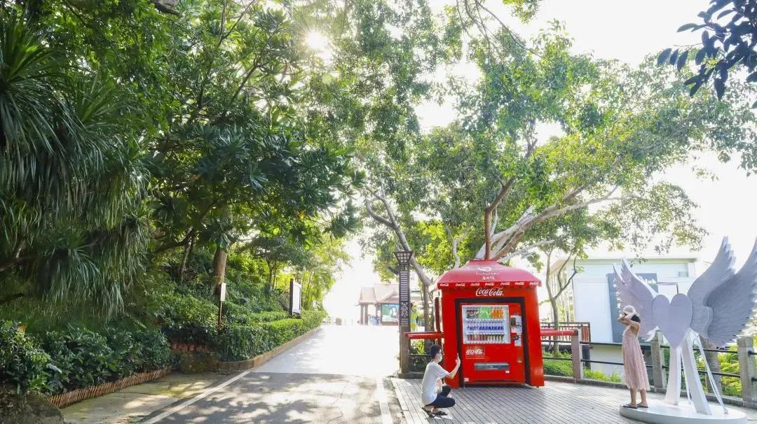 三亚旅游文化发展集团有限公司