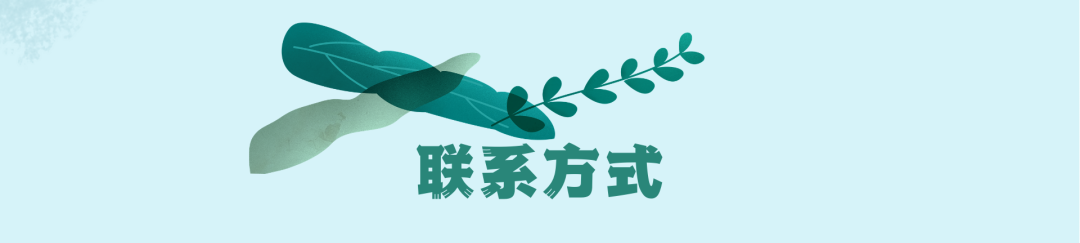 三亚旅游文化发展集团有限公司