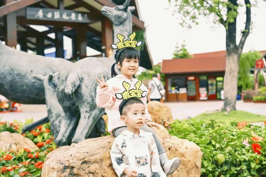 三亚旅游文化发展集团有限公司