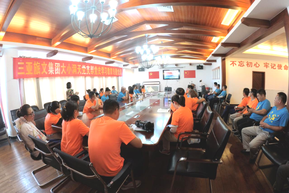 三亚旅游文化发展集团有限公司