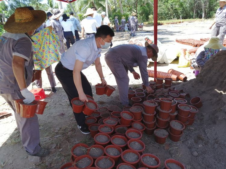 三亚旅游文化发展集团有限公司