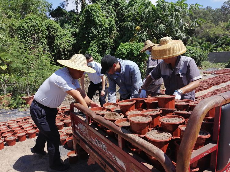 三亚旅游文化发展集团有限公司