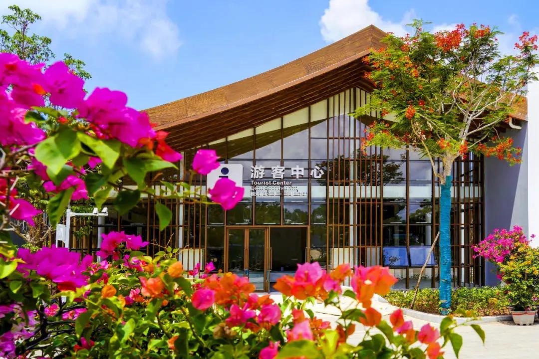 三亚旅游文化发展集团有限公司