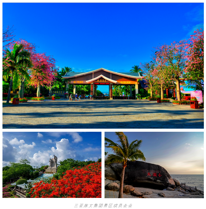 三亚旅游文化发展集团有限公司