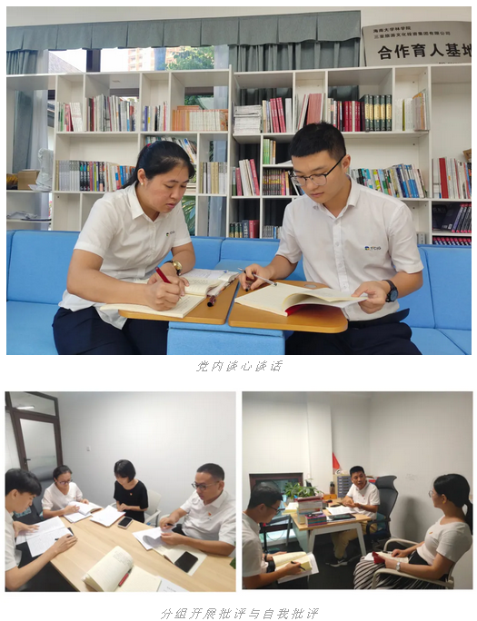 三亚旅游文化发展集团有限公司