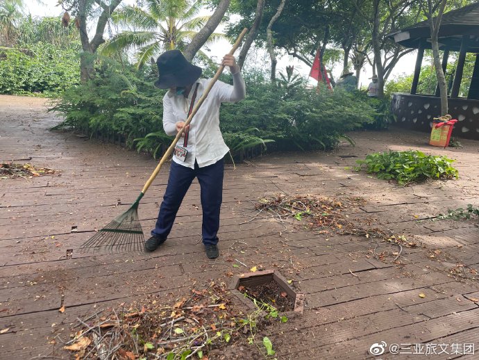 三亚旅游文化发展集团有限公司