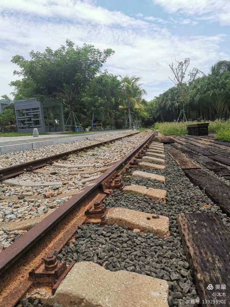 三亚旅游文化发展集团有限公司