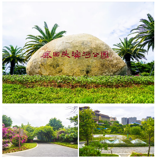 三亚旅游文化发展集团有限公司