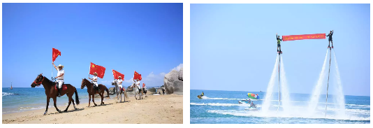 三亚旅游文化发展集团有限公司