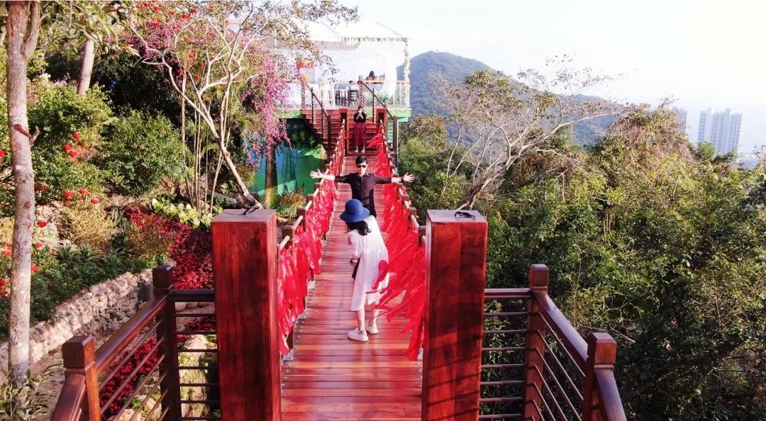 三亚旅游文化发展集团有限公司