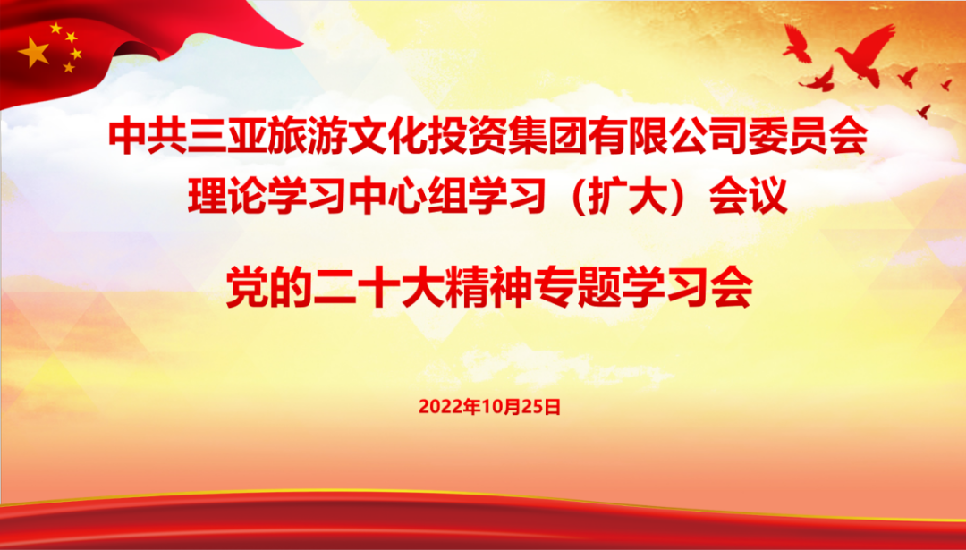 三亚旅游文化发展集团有限公司