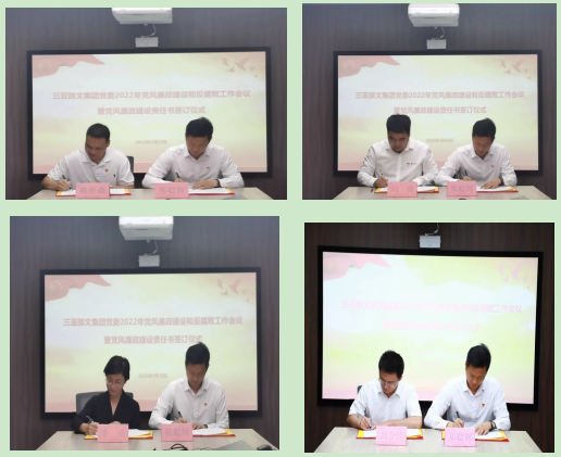 三亚旅游文化发展集团有限公司