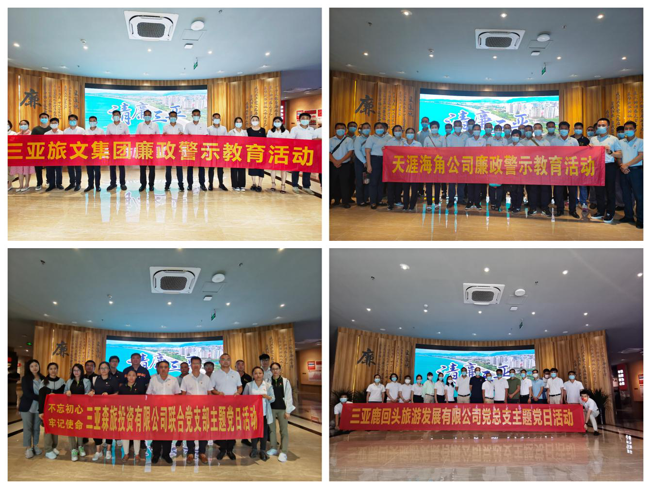 三亚旅游文化发展集团有限公司