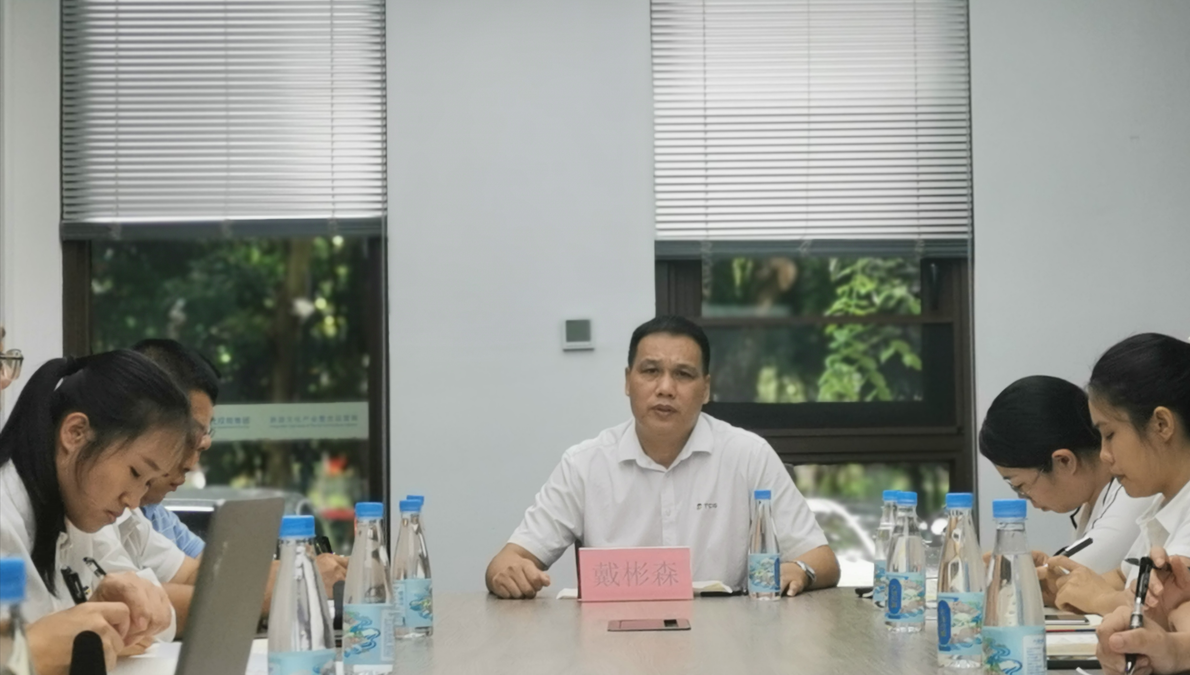 三亚旅游文化发展集团有限公司