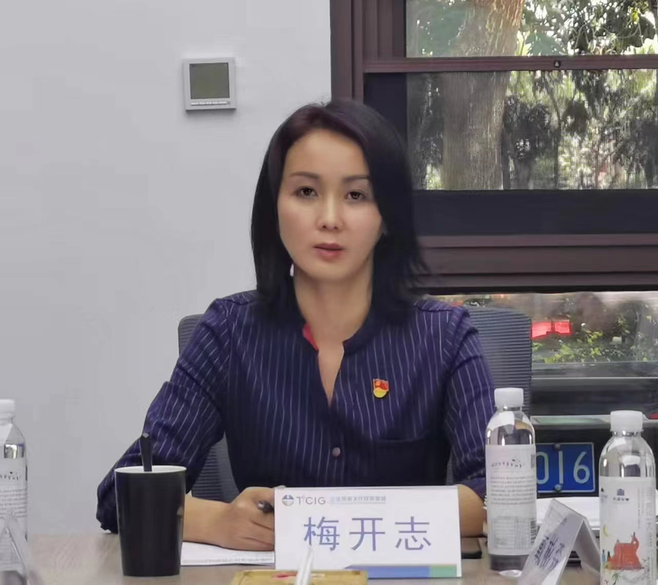 三亚旅游文化发展集团有限公司 三亚旅游文化发展集团有限公司