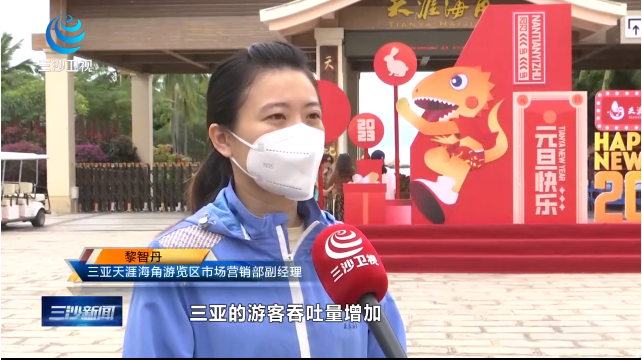 三亚旅游文化发展集团有限公司