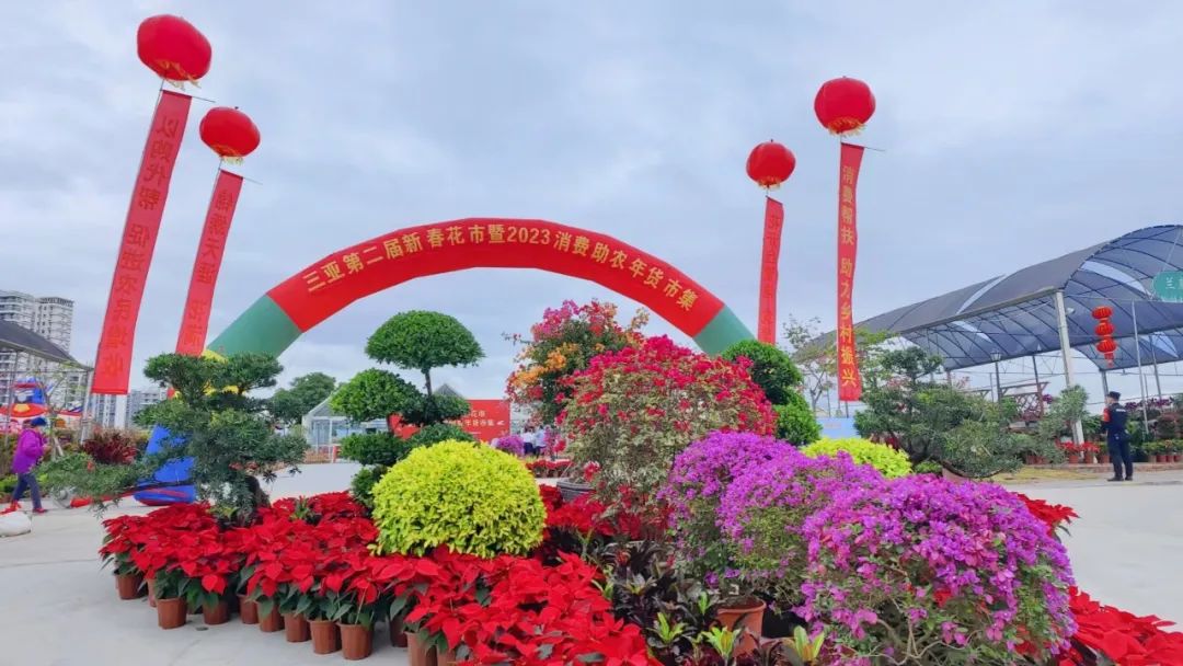 三亚旅游文化发展集团有限公司