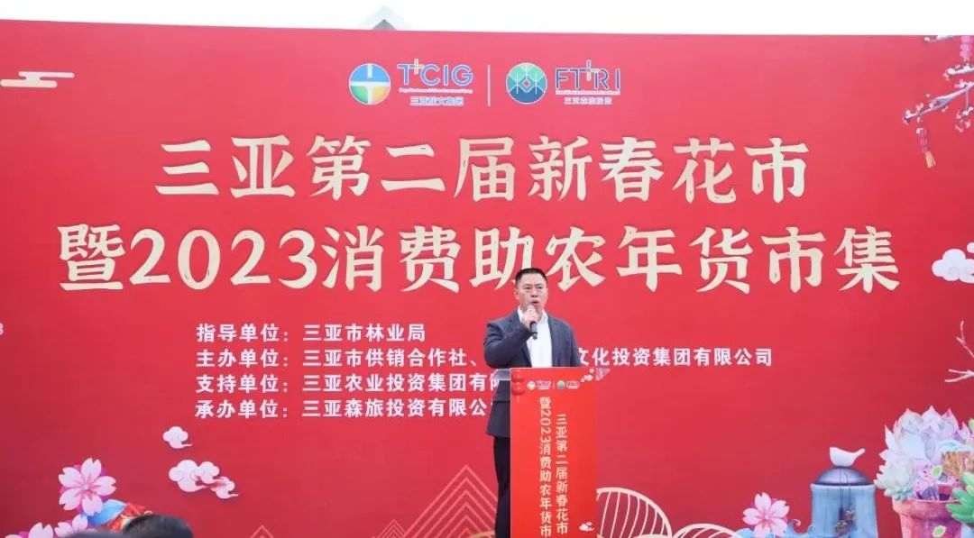 三亚旅游文化发展集团有限公司