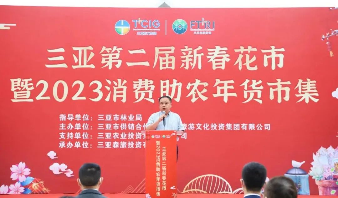 三亚旅游文化发展集团有限公司