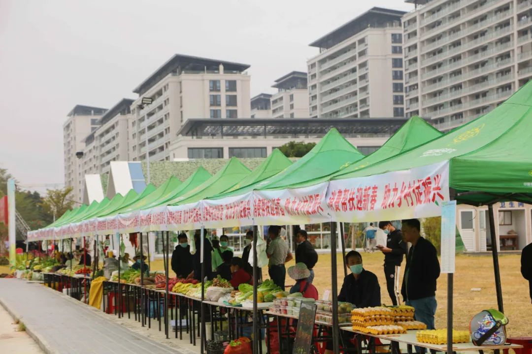 三亚旅游文化发展集团有限公司