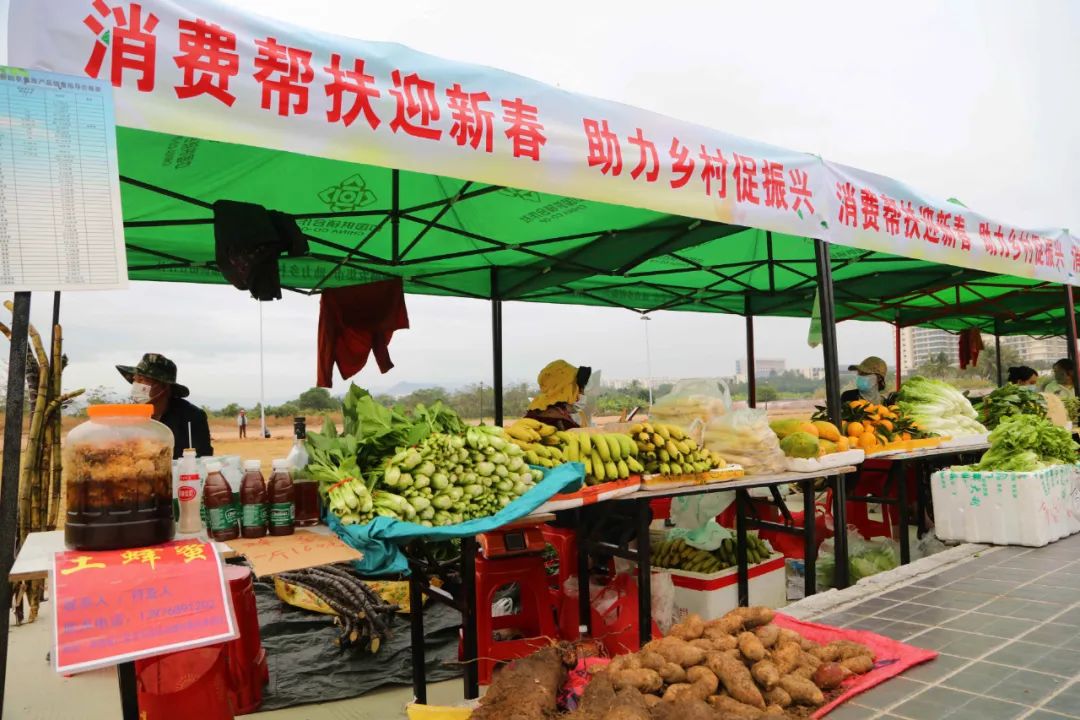 三亚旅游文化发展集团有限公司