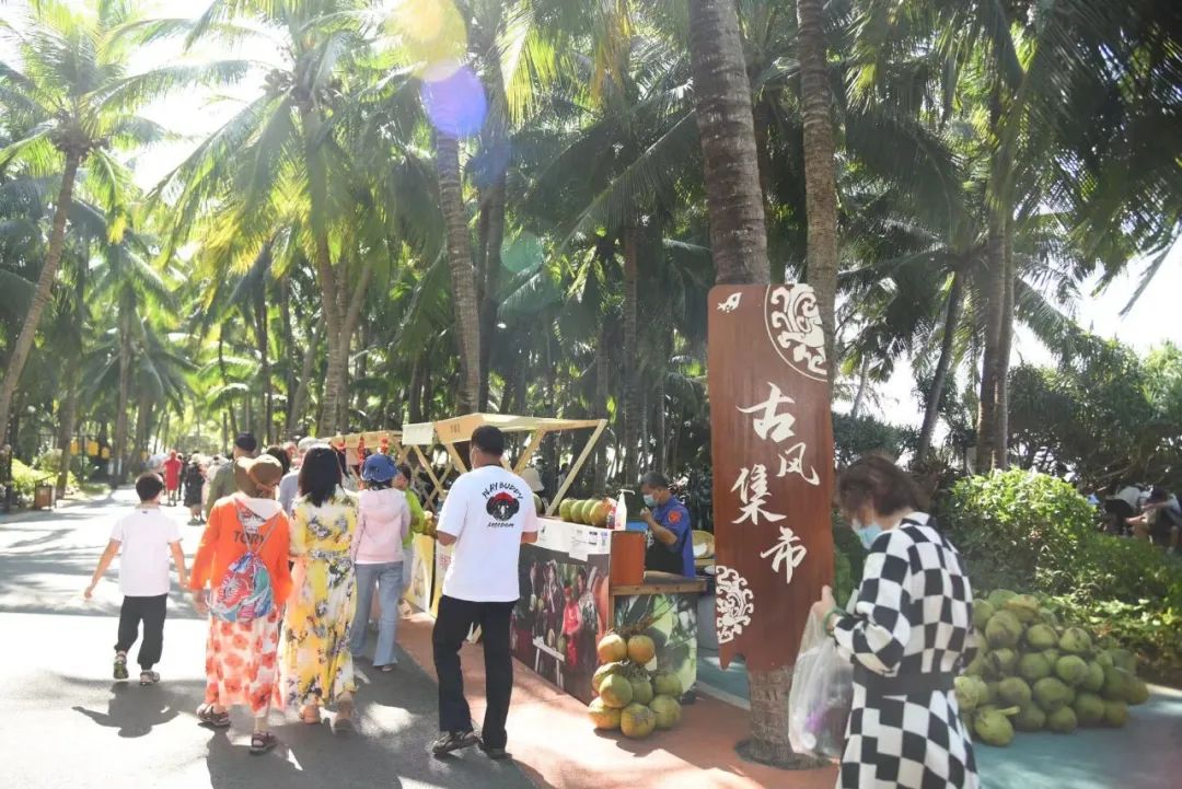 三亚旅游文化发展集团有限公司