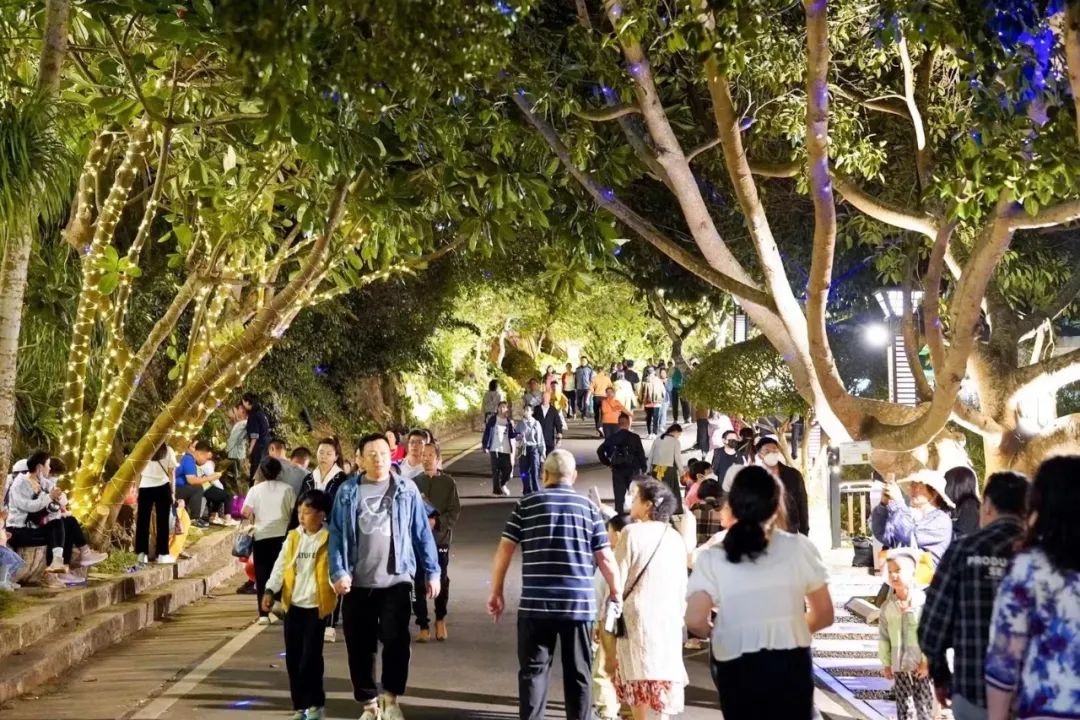 三亚旅游文化发展集团有限公司