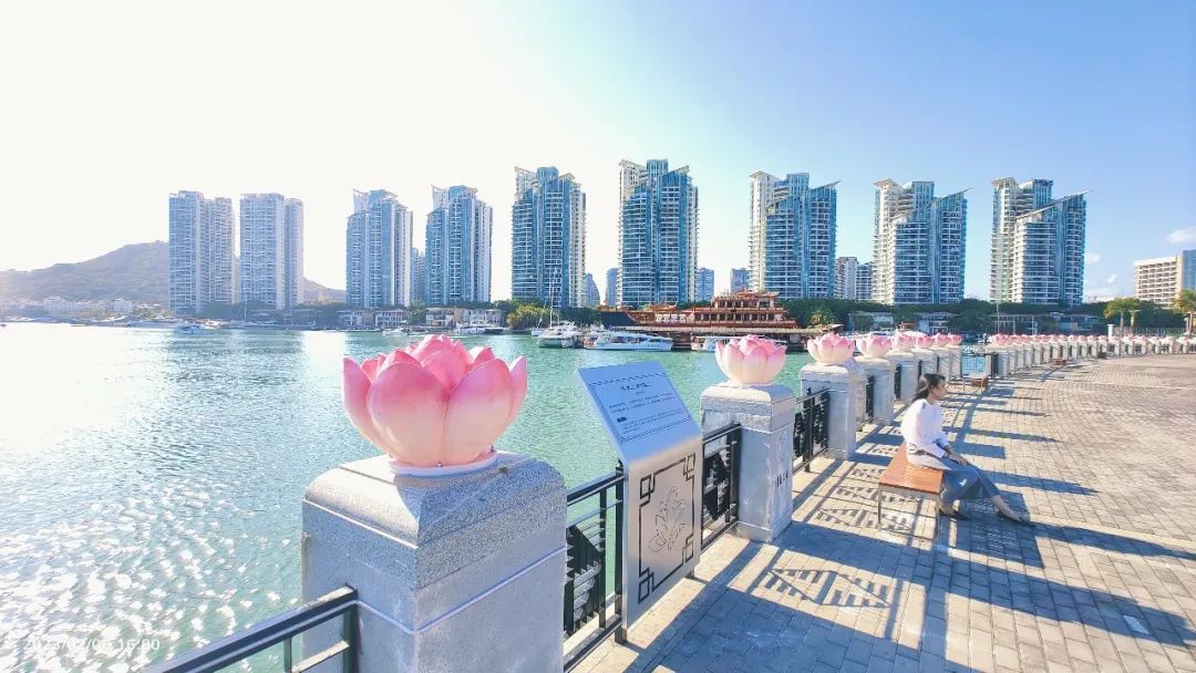 三亚旅游文化发展集团有限公司