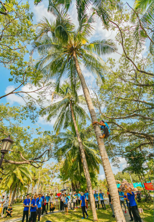 三亚旅游文化发展集团有限公司