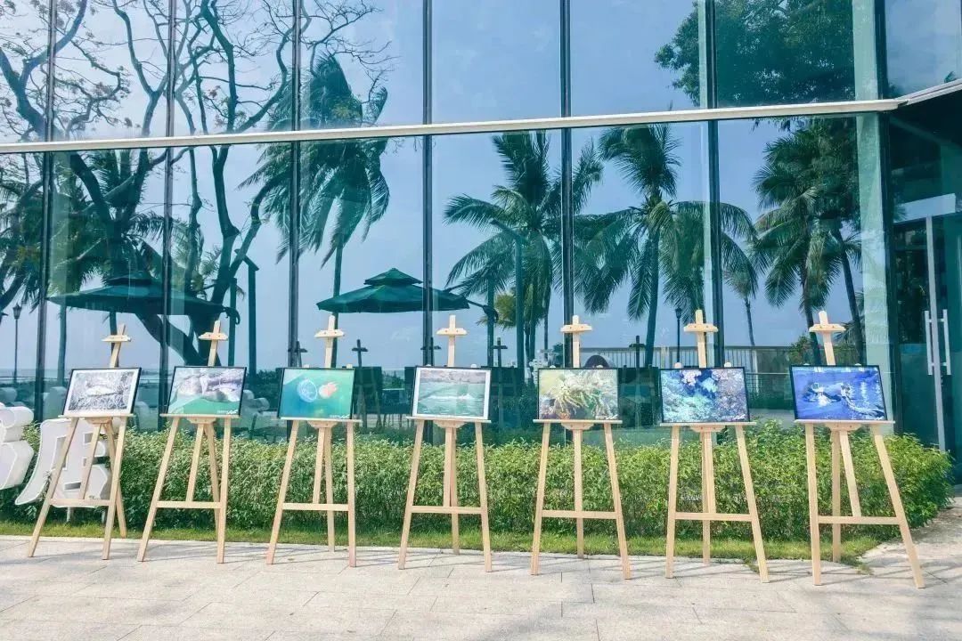 三亚旅游文化发展集团有限公司