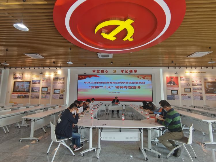 三亚旅游文化发展集团有限公司