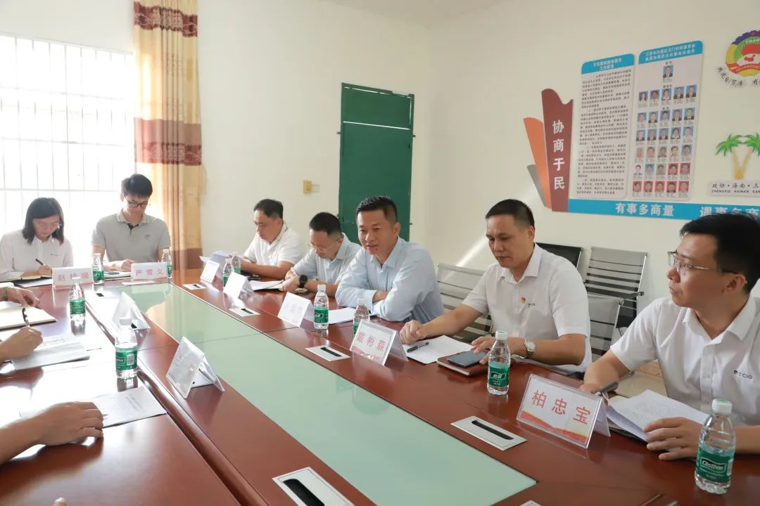 三亚旅游文化发展集团有限公司