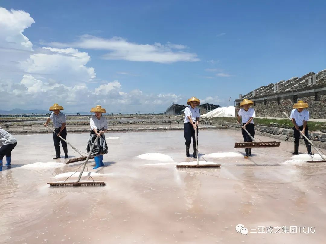 三亚旅游文化发展集团有限公司 三亚旅游文化发展集团有限公司