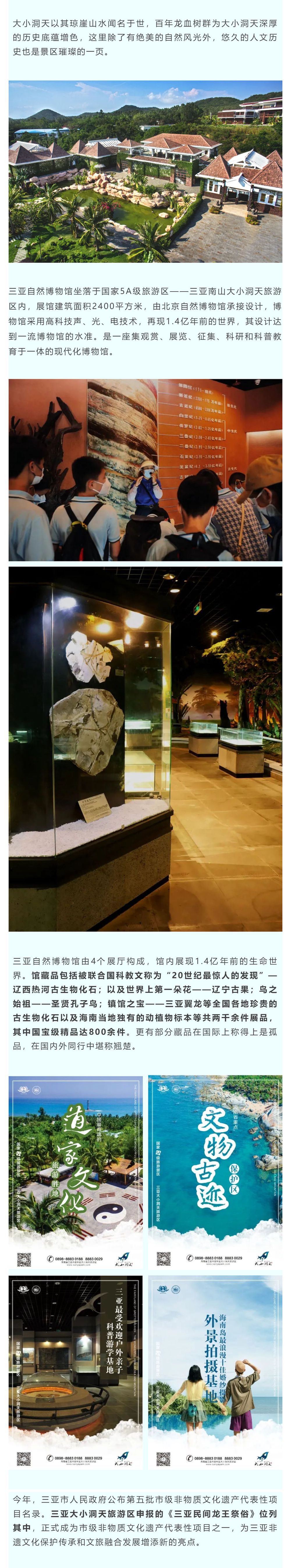 三亚旅游文化发展集团有限公司