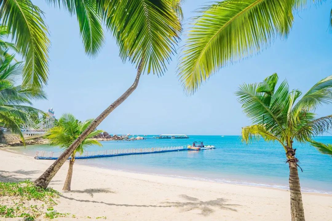 三亚旅游文化发展集团有限公司