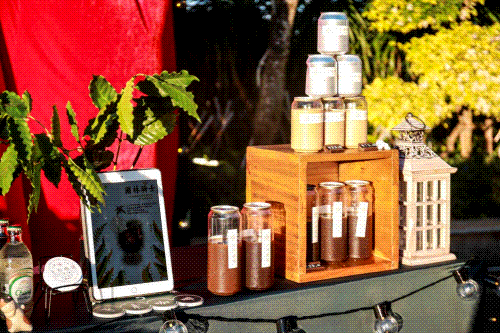 三亚旅游文化发展集团有限公司