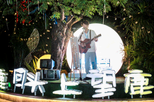 三亚旅游文化发展集团有限公司