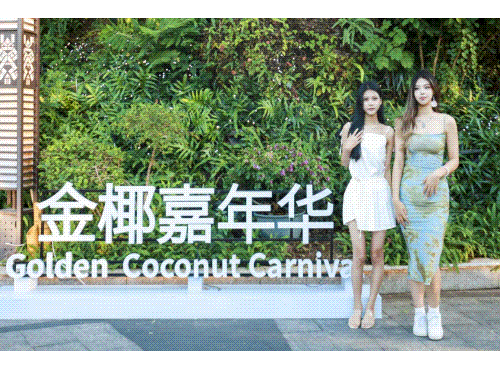 三亚旅游文化发展集团有限公司