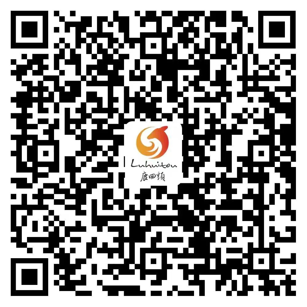 三亚旅游文化发展集团有限公司