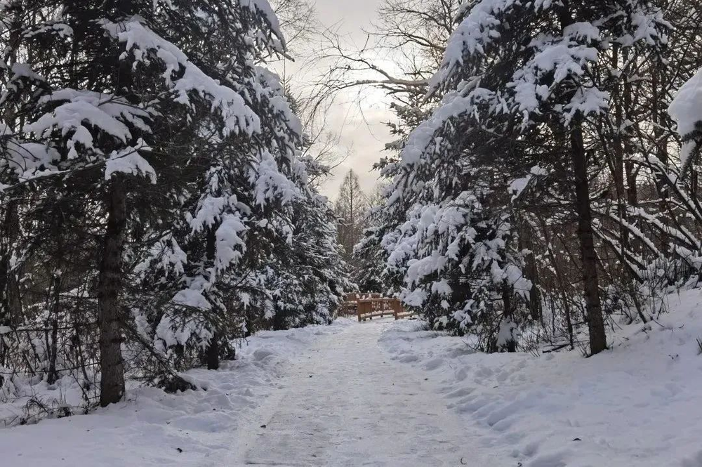 三亚旅游文化发展集团有限公司