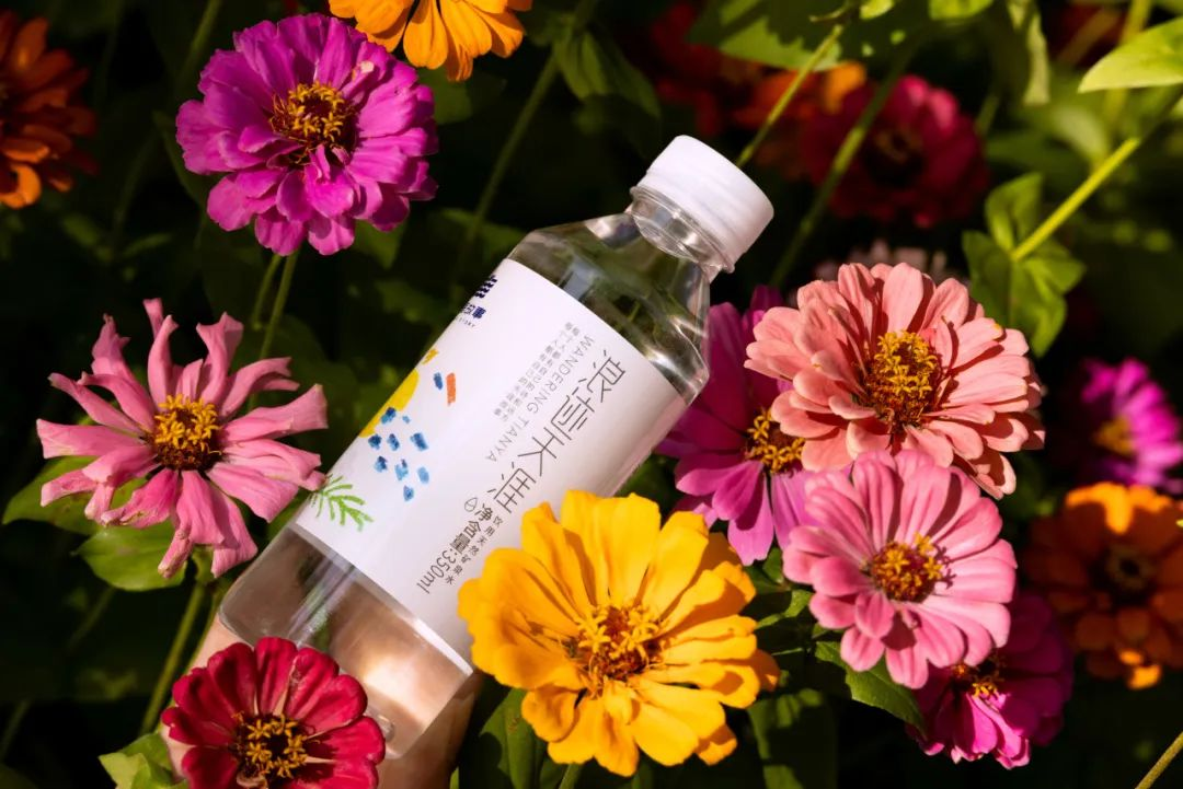 三亚旅游文化发展集团有限公司