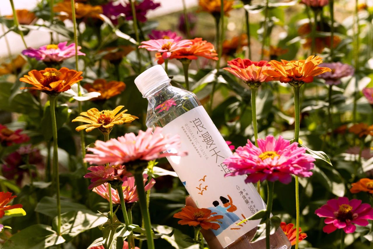 三亚旅游文化发展集团有限公司