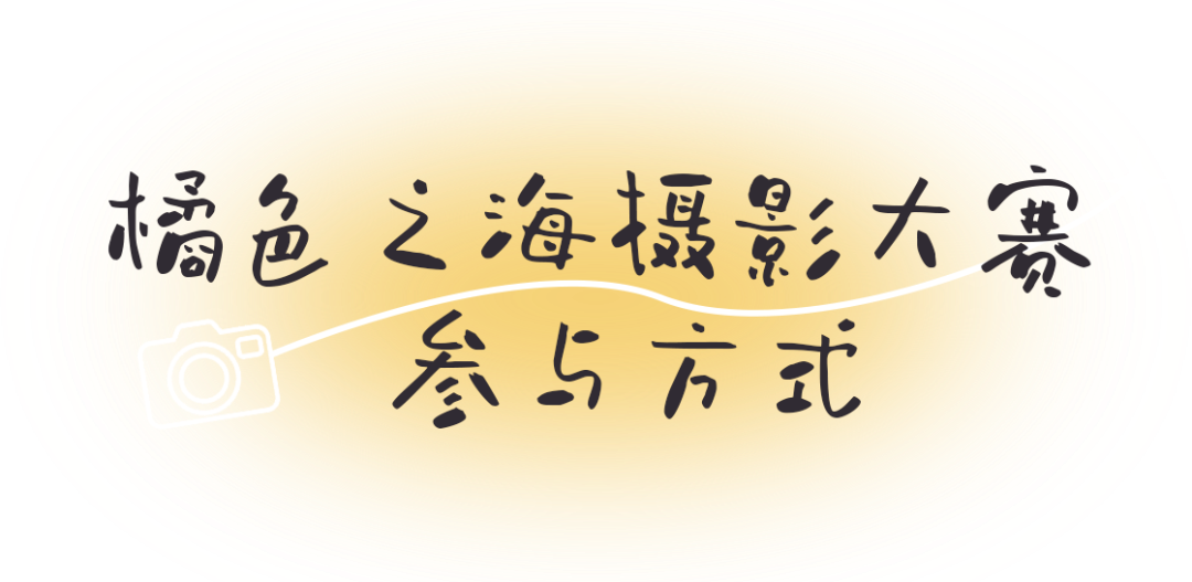 三亚旅游文化发展集团有限公司