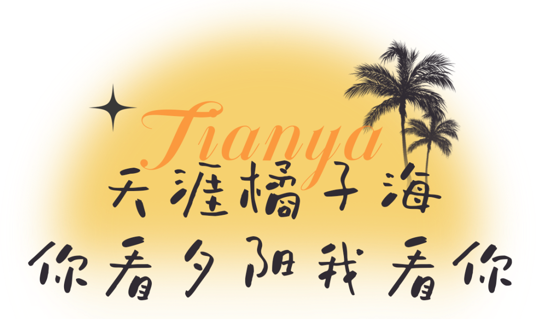 三亚旅游文化发展集团有限公司