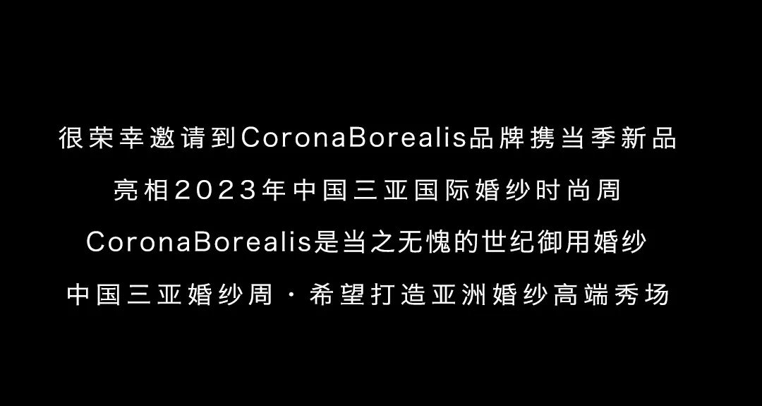 三亚旅游文化发展集团有限公司