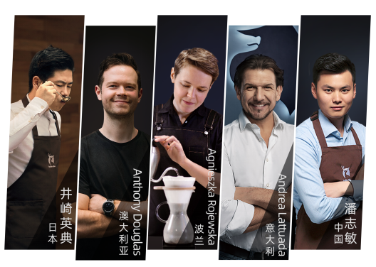 三亚旅游文化发展集团有限公司